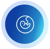 Reproductive-img