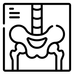 Digital X-Ray-icon